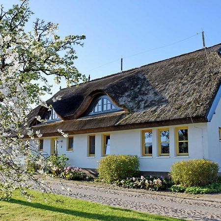 Ferienwohnungen Im Fischerdorf Und Neu Reddevitz 外观 照片