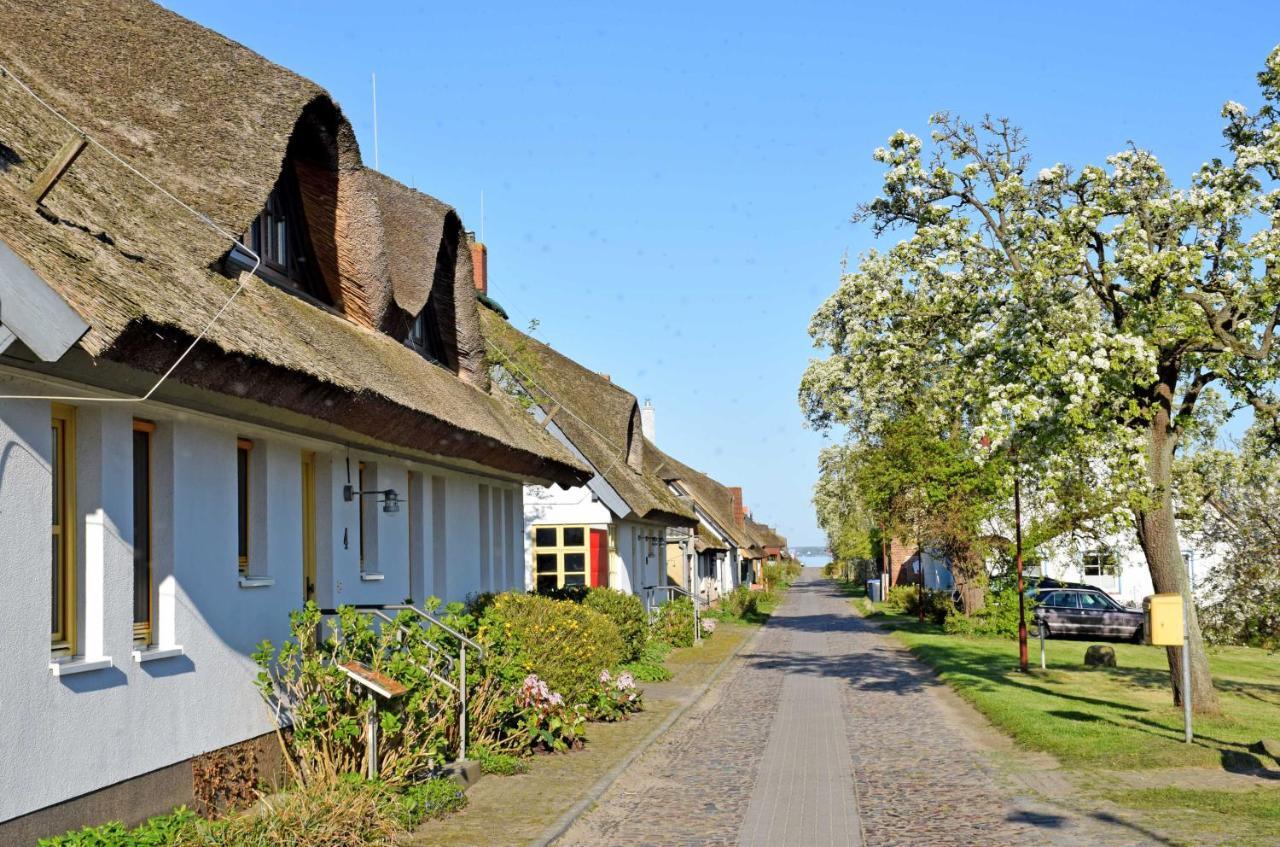 Ferienwohnungen Im Fischerdorf Und Neu Reddevitz 外观 照片