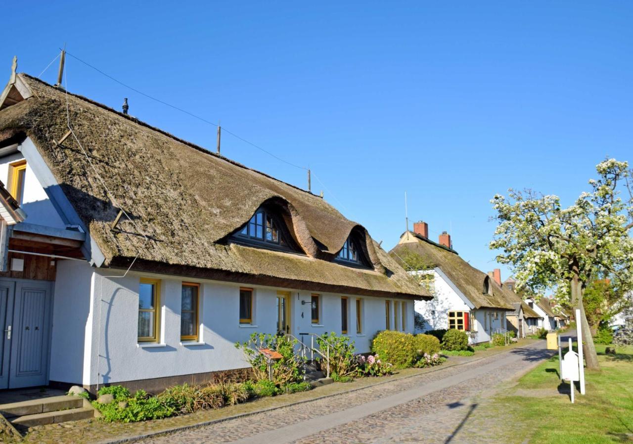 Ferienwohnungen Im Fischerdorf Und Neu Reddevitz 外观 照片